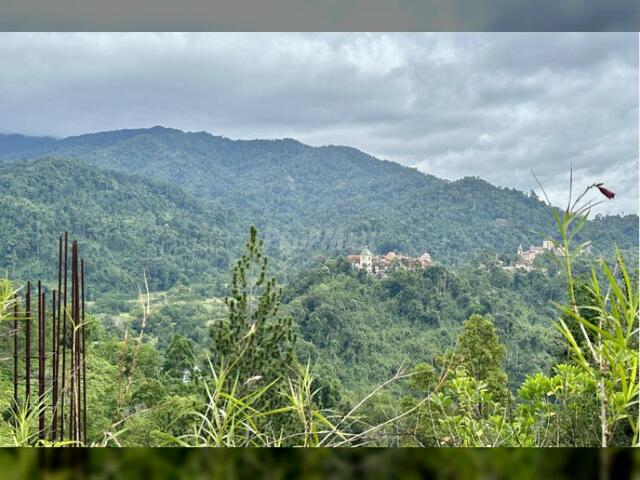 Bukit Tinggi Berjaya Hills Resort Bentong Freehold Bungalow Land For Sale photo