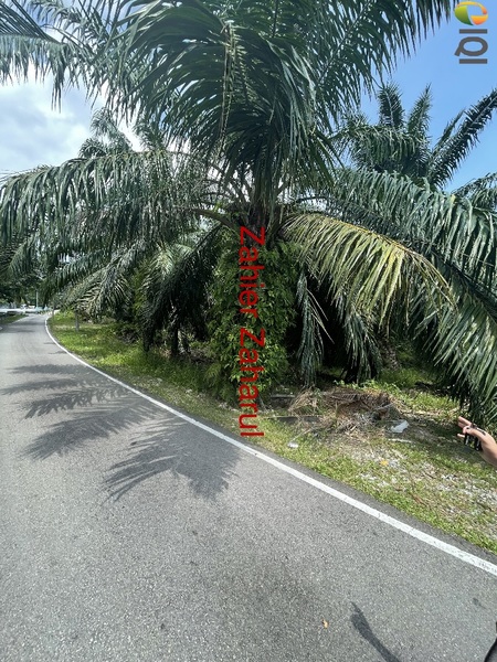 Agriculture Land Muar