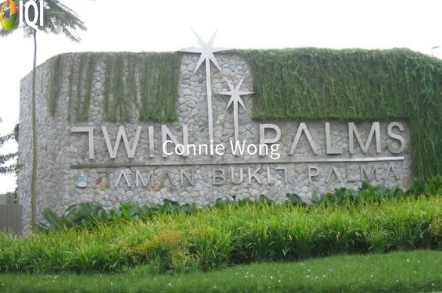 Twin Palms photo